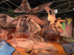 -正佳自然科学博物馆