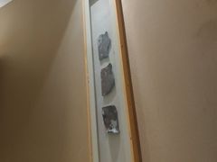 -良子健身·竹Spa(五四广场店)