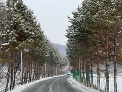 -长春莲花山滑雪场