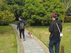 -午潮山国家森林公园