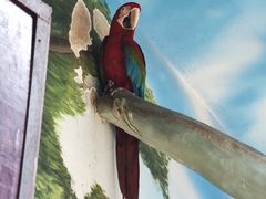 -石家庄市动物园