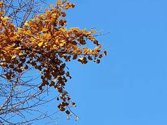 -西南交通大学九里校区-篮球场