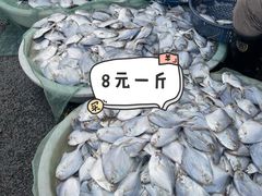 -芦潮港集贸市场