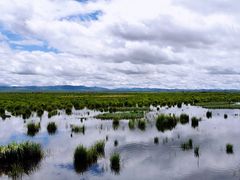 -花湖生态旅游区