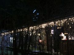-The Tiki Bungalow提基小木屋酒吧