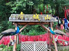 -青城山