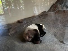 -宁波野生动物园