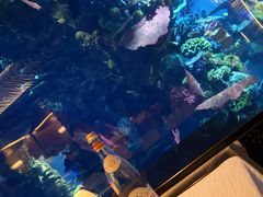 -迪拜帆船酒店海底餐厅