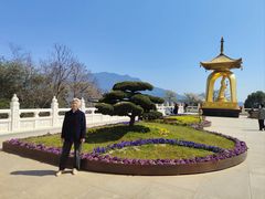 -庐山风景名胜区-东林大佛