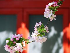 -海棠花溪(元大都城垣遗址公园)