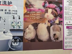 -北京观赏动物医院·24小时大型综合·猫专科·异宠专科