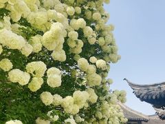 -常熟方塔园