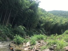 -宁波浙东大竹海景区
