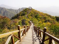 -大岭沟猕猴桃谷风景区