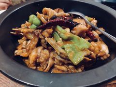 黑松露牛肝菌焖牛蛙-云海肴·汽锅鸡·云南菜(美罗城店)