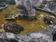 -北海·海洋之窗