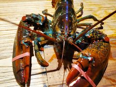 -辉记炭烧海鲜大排档·老字号(福田店)