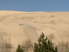 -玉龙沙湖景区