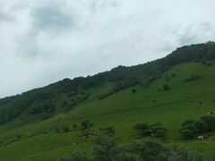 -关山草原