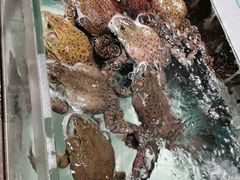 -盒马鲜生(红莲店)