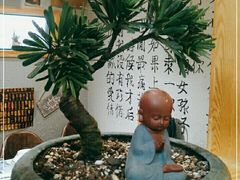 -以前的小酒馆(中山广场店)