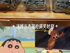 -棒棰岛辽参(长宁旗舰店)