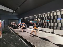 -奥斯卡升龙国际影城(RealD Cinema)