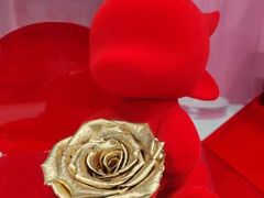 -ROSEONLY诺誓(广州K11店)