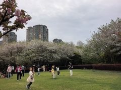 -宁波九龙湖开元度假村