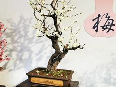 -颐和园