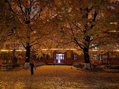 -四川大学(望江校区)