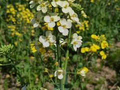 -同里湖大饭店-怡景轩中餐厅(同里古镇店)