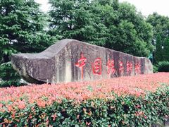 -中国扬子鳄村