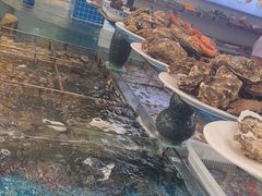 -抹直口特色菜馆(一店)