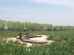 -永定河休闲森林公园