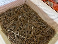 -顺德了能馆(虎门店)