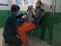 -利又安动物医院··老年病·猫科犬科·中兽医