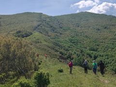 -灵山