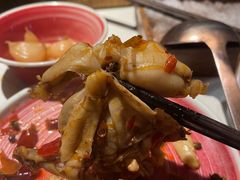 -九鼎轩脆毛肚火锅(三钢里店)