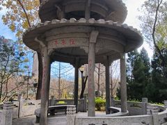 -玲珑塔公园