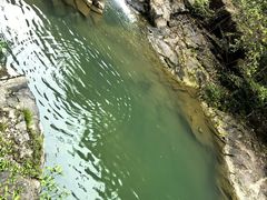 -广州白江湖森林公园