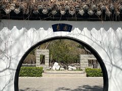 -碑林公园