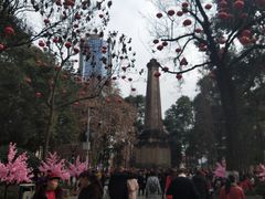 -绵阳人民公园(涪城区)