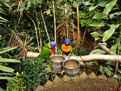 -南宫五洲植物乐园