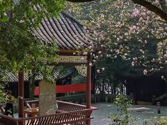 -缙云山景区
