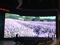 -新疆大剧院