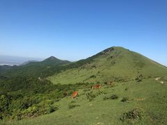 -大姆山草场