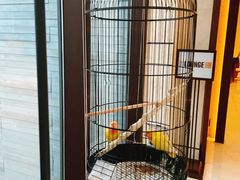 -上海崇明金茂凯悦酒店