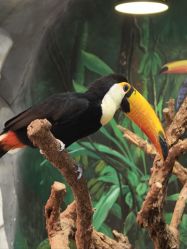 -Zoolung Zoolung动物主题公园(海信广场店)