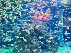 -成都浩海立方海洋公园